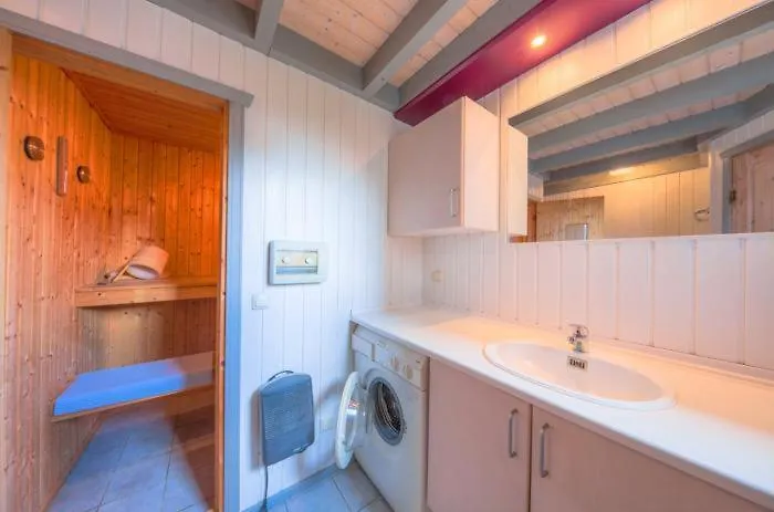 Wildgans 194 ミロー